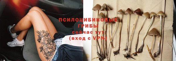 кристаллы Богданович
