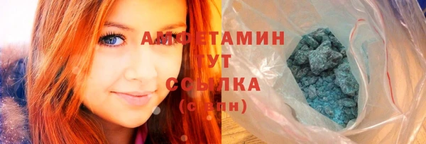 дмт Богородицк