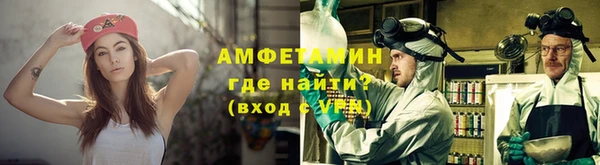 прущие грибы Чекалин