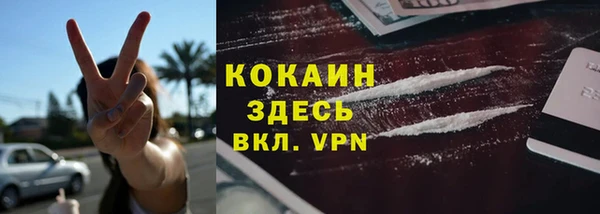дмт Богородицк