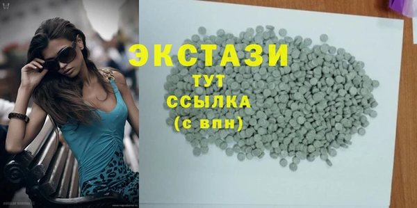 дмт Богородицк